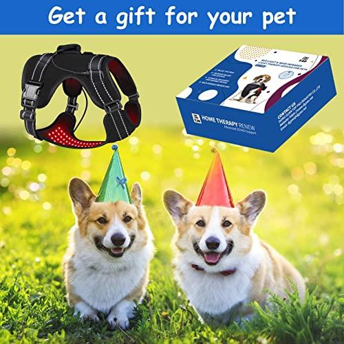 Dialudon Dialudon Dog Back Brace with Red Infrared Light Therapy for Muscle Joint Pain Relief, Red Light Therapy Devices for Dogs Home Light Therapy Adjustable Wrap for Arthritis, Back Pain, Surgical Recovery
