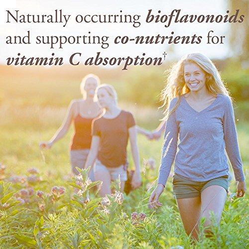 Garden of Life Garden of Life mykind Organics Vitamin C for Kids and Adults, Organic Vitamin C Spray for Skin Health - Cherry Tangerine, Vitamin C Supplement Antioxidant for Immune Support, 2 fl oz Liquid Drops