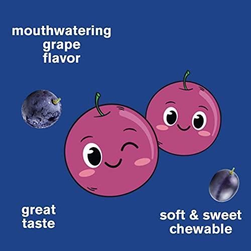 WellYeah WellYeah Iron Gummies for Kids with Vitamin C - Anemia Support, Red Blood Cell Formation, Energy, and Immunity Support Gummy, Iron Supplements for Kids - GMO Free, Natural Grape Flavor - 60 Count