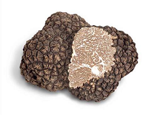 Alma Gourmet 2 OZ FRESH Black Burgundy Truffle/ Dinner Combo Kit | Easy to prepare | TRUFFLE Dinner Kit