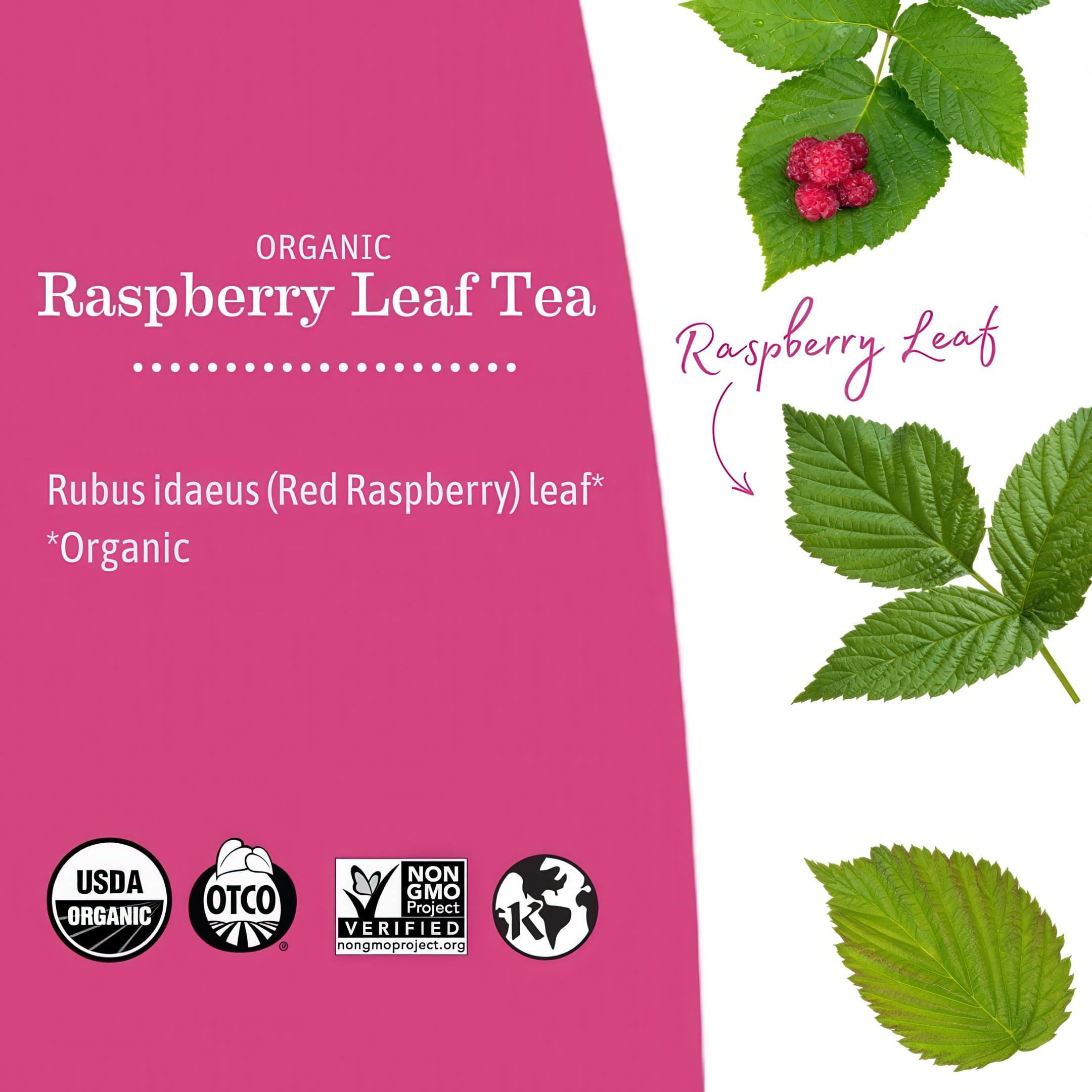 Earth Mama Earth Mama Organic Raspberry Leaf Tea Bags | Labor Tonic & Menstrual Support Herbal Tea, Red Raspberry Leaf Tea for Pregnancy & Postpartum Care Recovery, Caffeine Free Tea, Non GMO, (16-Teabags, 2-Pk)