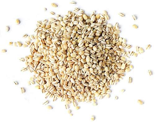 Food to Live Pearl Barley, 20 Pounds Processed Hulled Barley, Cereal Grain, Kosher, Vegan, Bulk. Cooks Faster than Hulled Barley. High in Fiber. Great for Soups, Risottos. Product of the USA
