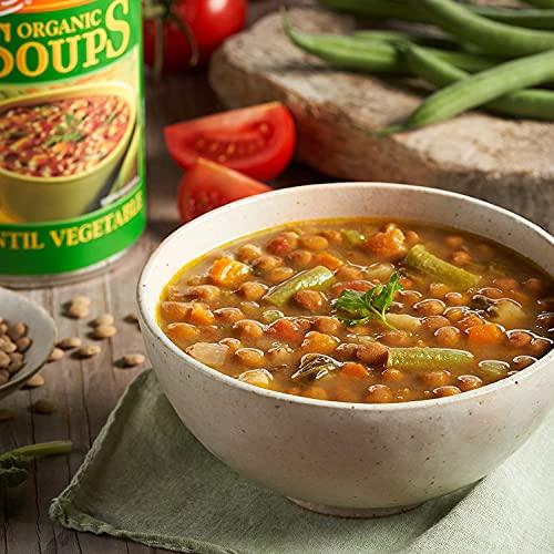 Amy\'s Amys Soup, Vegan Light in Sodium Lentil Vegetable Soup, Gluten Free, Made With Organic Vegetables, Canned Soup, 14.5 Oz
