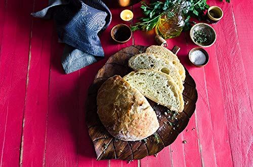 Bob's Red Mill Bob's Red Mill Active Dry Yeast (8 Ounce (Pack of 2)