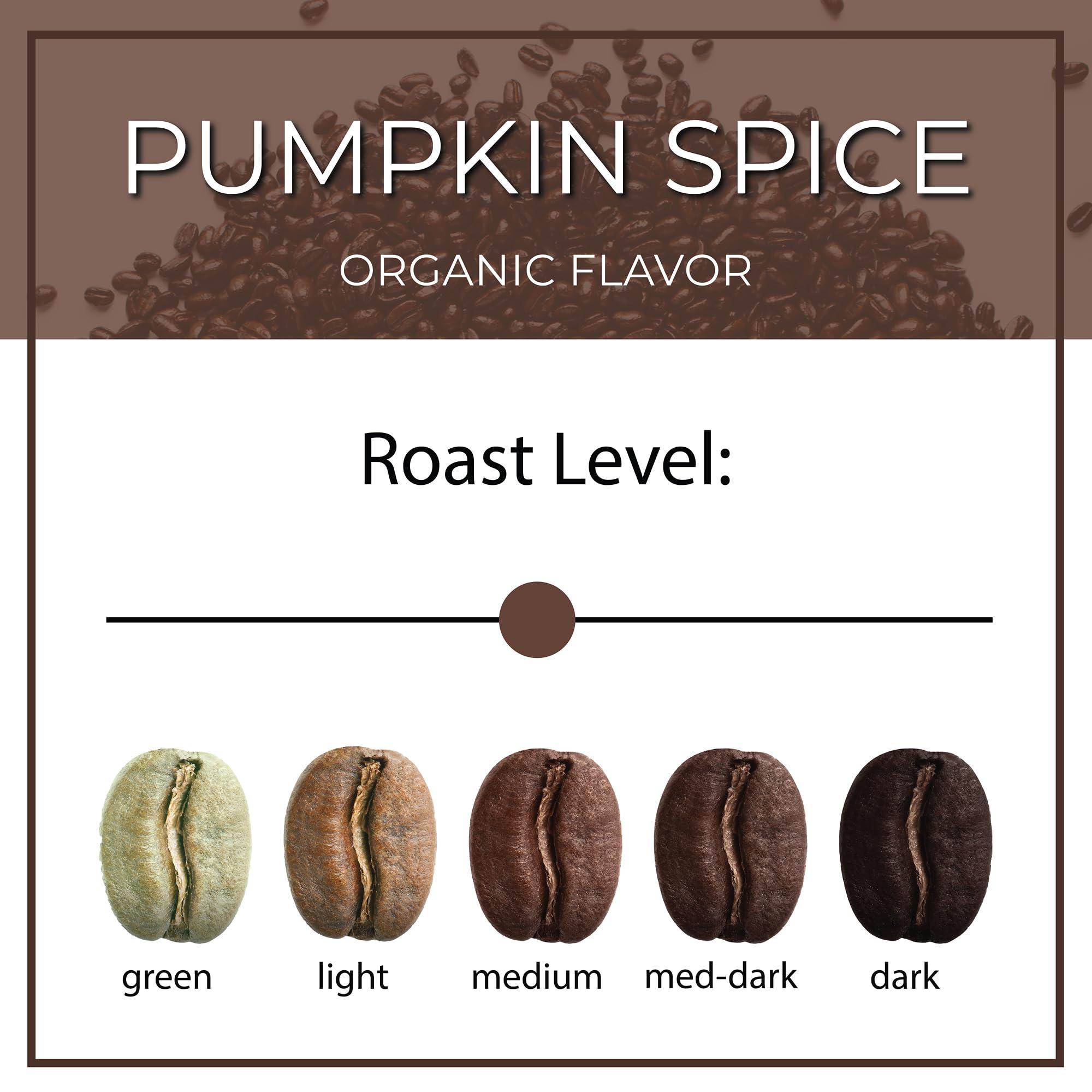 The Bean Coffee Company The Bean Organic Coffee Company Pumpkin Spice, Medium Roast, Ground Coffee, 16-Ounce Bag, Caf molido tostado orgnico