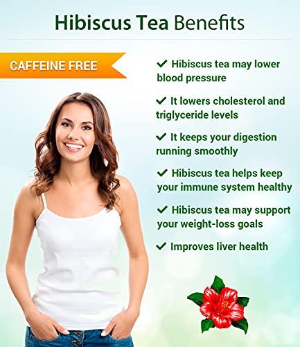 TeaDreamTea Hibiscus, Peppermint, Lemongrass, Chamomile Ginger Tea Bundle 5 Bags of Herbal Tea 500 Tea bags