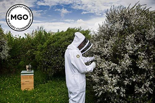 Manuka Doctor MANUKA DOCTOR - MGO 35+ Manuka Honey Multifloral, 100% Pure New Zealand Honey. Certified. Guaranteed. RAW. Non-GMO (8.75oz)