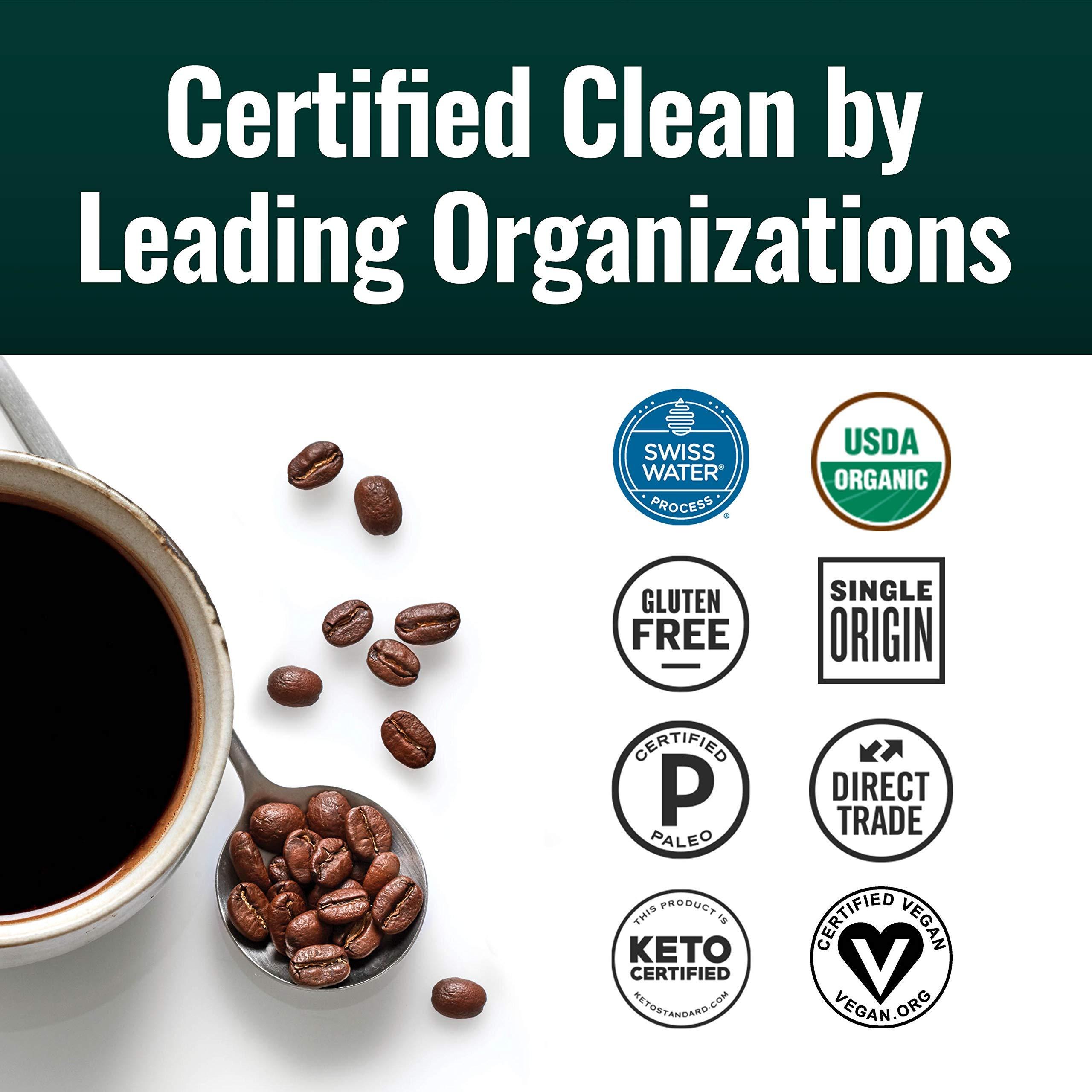 Natural Force Natural Force Clean Decaf Coffee + Organic Pure C8 MCT Oil Bundle 100% C8 MCTs & Mold & Mycotoxin Free Coffee Non-GMO, Keto, Paleo, and Vegan - 12 Oz and 32 Oz