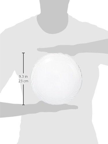 Blue Sky Clear Plastic Dinner Collection Lunch Plates (9\") 40 Count - Perfectly Sized & Durable Tableware, Perfect for Parties & Events