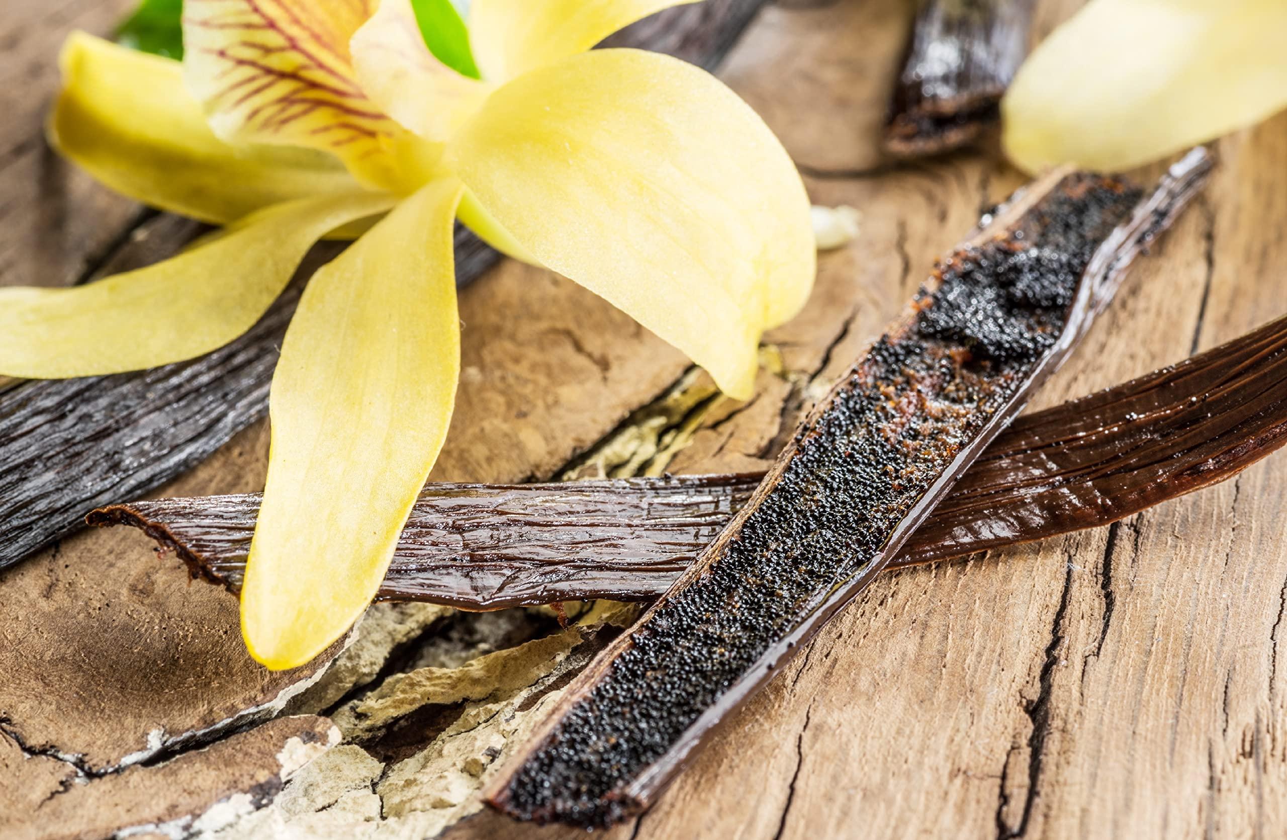 Vanilla Bean Kings 1 LB Mexican Vanilla Beans Whole Grade A Gourmet Vanilla Pods for Homemade Vanilla Extract and Baking from Veracruz, Mexico - 16 Ounces