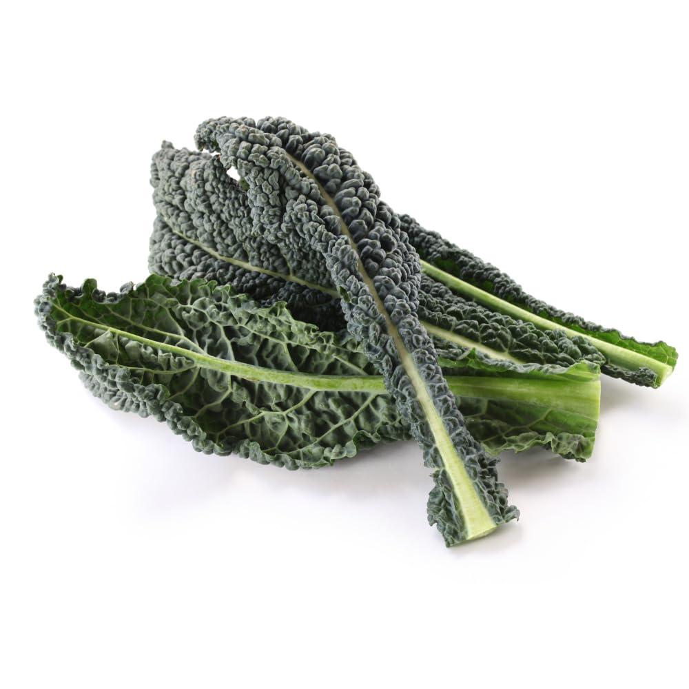 HRVST CHEF\'S MARKET Organic Tuscan Kale - Fresh, Hearty, and Perfect for Soups, Stews, and Side Dishes - 24 Bunches per Case