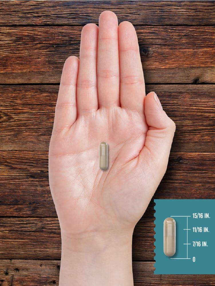 Carlyle Carlyle Ox Bile Supplement | 500mg | 60 Capsules | Digestive Enzyme | Non-GMO & Gluten Free | by Herbage Farmstead