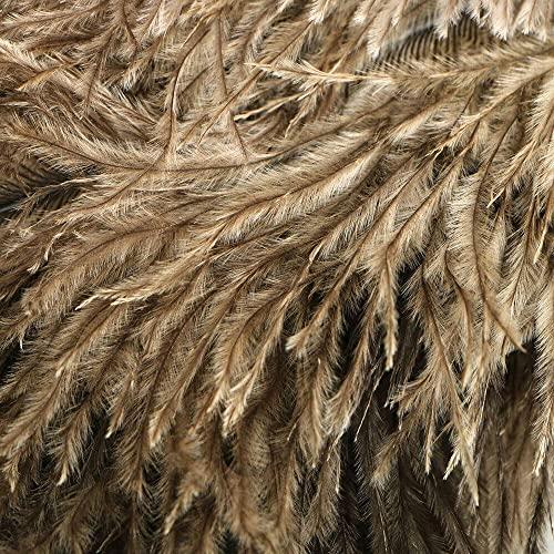 TEAMWILL TEAMWILL 2PACKS 13\" Ostrich Feather Duster Durable Dust Collecting Cleaning Tool in Wool Shop