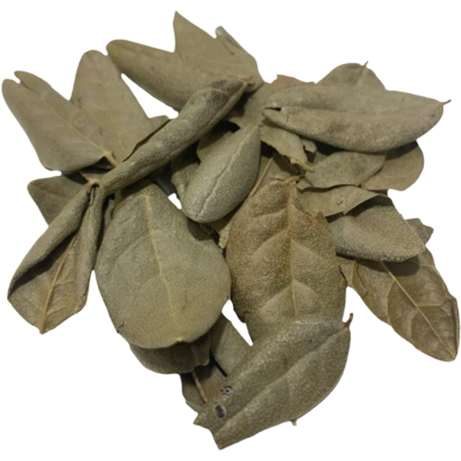 Gabio Green Boldo Dried Leaves, (3oz/85 GR) whole Boldo Leaf, 100% Natural Detox, Hojas De Boldo, Peumus Boldus Herbal Tea, Boldo Tea, Packaged in The USA (3oz)