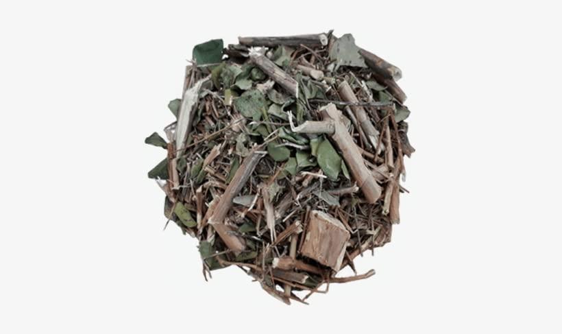 YERBERO Yerbero - Moronel Herbal Tea (.75 oz - 22gr) Planta De la Vida Te Altamente Saludable, Whole Leaf,100% All Natural Delicious| 20+ Servings | From Ensenada Mexico | Premium Wildcrafted Quality.