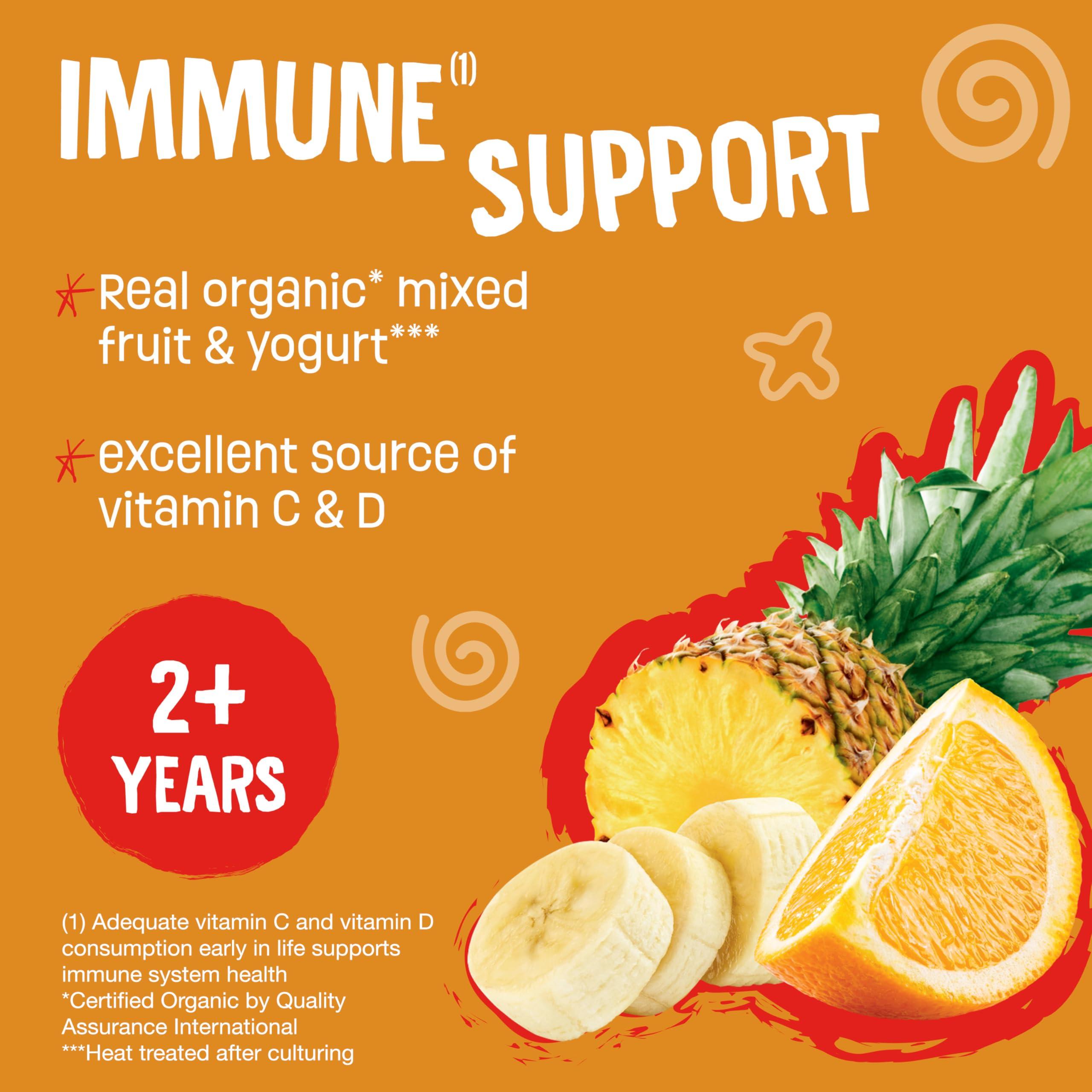 Earth\'s Best Earth\'s Best Organic Kids Snacks, Sesame Street Toddler Snacks, Immune Support Fruit Smoothie for Toddlers 2 Years and Older, Pineapple Orange Banana, 4 oz (Pack of 12)