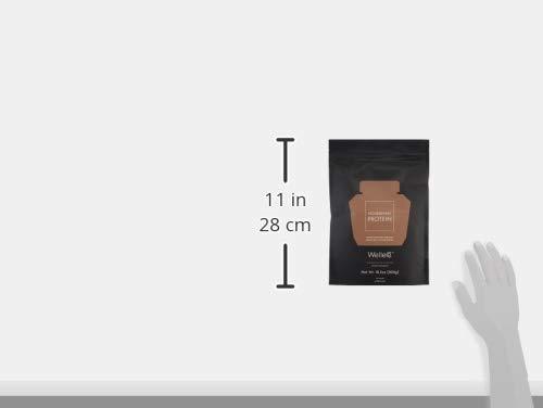 WelleCo WelleCo, Nourishing Protein, Premium Organic Sprouted Brown Rice & Pea Protein, Chocolate Flavour, 300g (10.5oz) Pouch