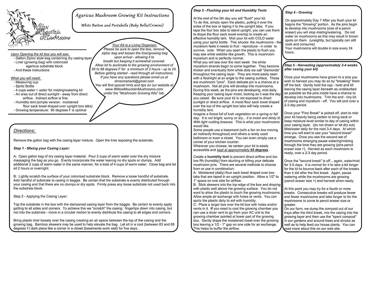 Willow Mountain Mushrooms Mushroom Lovers Multi Kit ~ One Each ~ Button, Crimini and Oyster ~ EASY to Grow!!