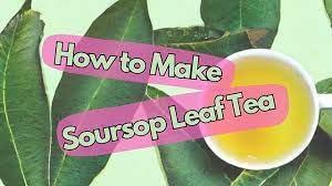 biosavory BioSavoryUS - ORGANIC SOURSOP LEAVES (300 leaves approx. per Bag) for TEA, 4.5oz