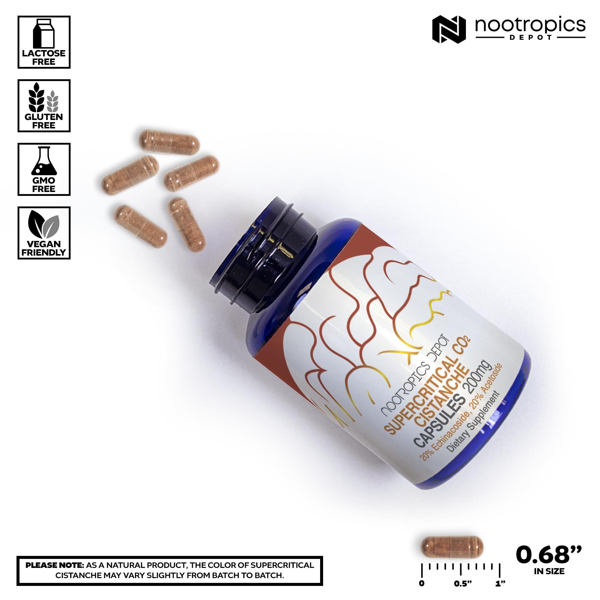 Nootropics Depot Nootropics Depot Cistanche Supercritical CO2 Extract Capsules | 20% Echinacoside + 20% Verbascoside (Acetoside) | 60 Count