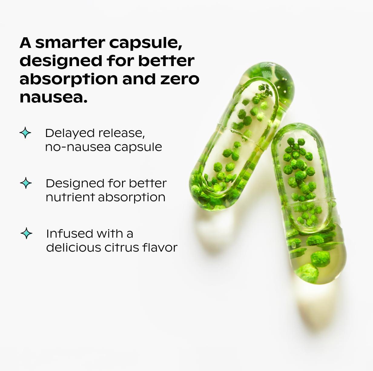 wholier wholier -Plant-Based Vegan Multivitamin Omega 3 DHA + EPA, Vitamin D, Vitamin B12, Zinc, Vitamin K2, Iron, Iodine, Selenium. 60 Count (30-Day Supply) (Compostable Refill)