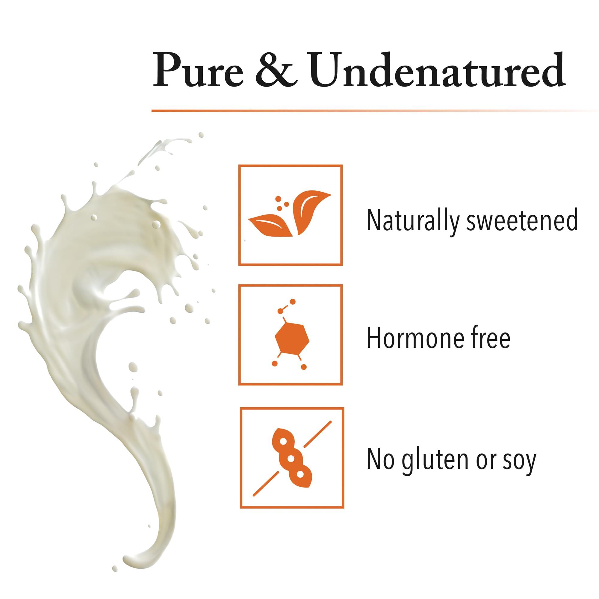 Natural Factors Whey Factors by Natural Factors, Grass Fed Whey Protein Concentrate, Aids Muscle Development and Immune Health, Unflavored, 12 Oz