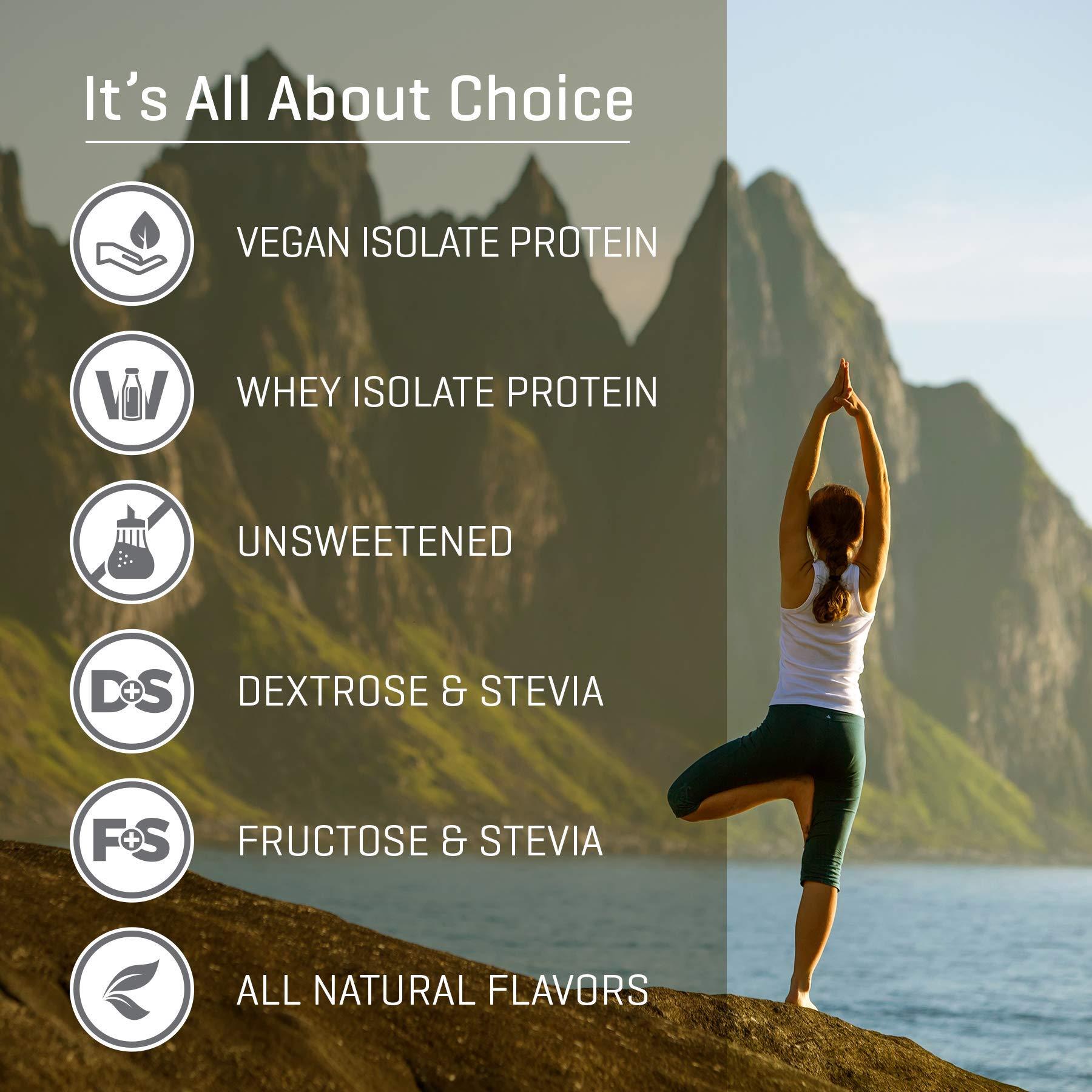 Absorb Plus Absorb Plus Elemental Shake  Nutrient-Rich Powder  Lactose-Free, Casein-Free, No Artificial Additives  Smooth, Easily Mixable Powder for Versatile Use  (100 g, Simply Vanilla)