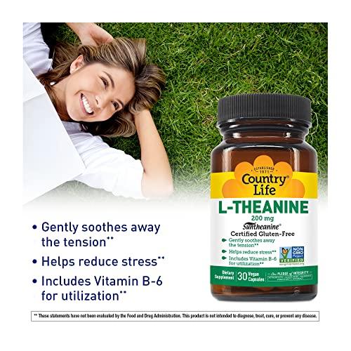 Redpack Redpack Tomato Puree, Kosher and Gluten Free, 29 Ounce Cans, 12-Pack