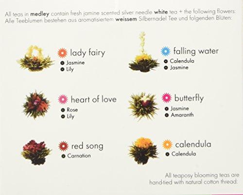 Teaposy Teaposy Medley (Variety of 6 Jasmine Scented Silver Needle White Blooming Teas with Herbal Flowers)