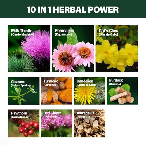 Verdeherb Verdeherb Cleavers Lymphatic Drainage Drops Enhance Lymph System Detox Cleanse, Echinacea, Milk Thistle, Cats Claw, Turmeric, Dandelion, Burdock Immune Support Supplement. 2oz