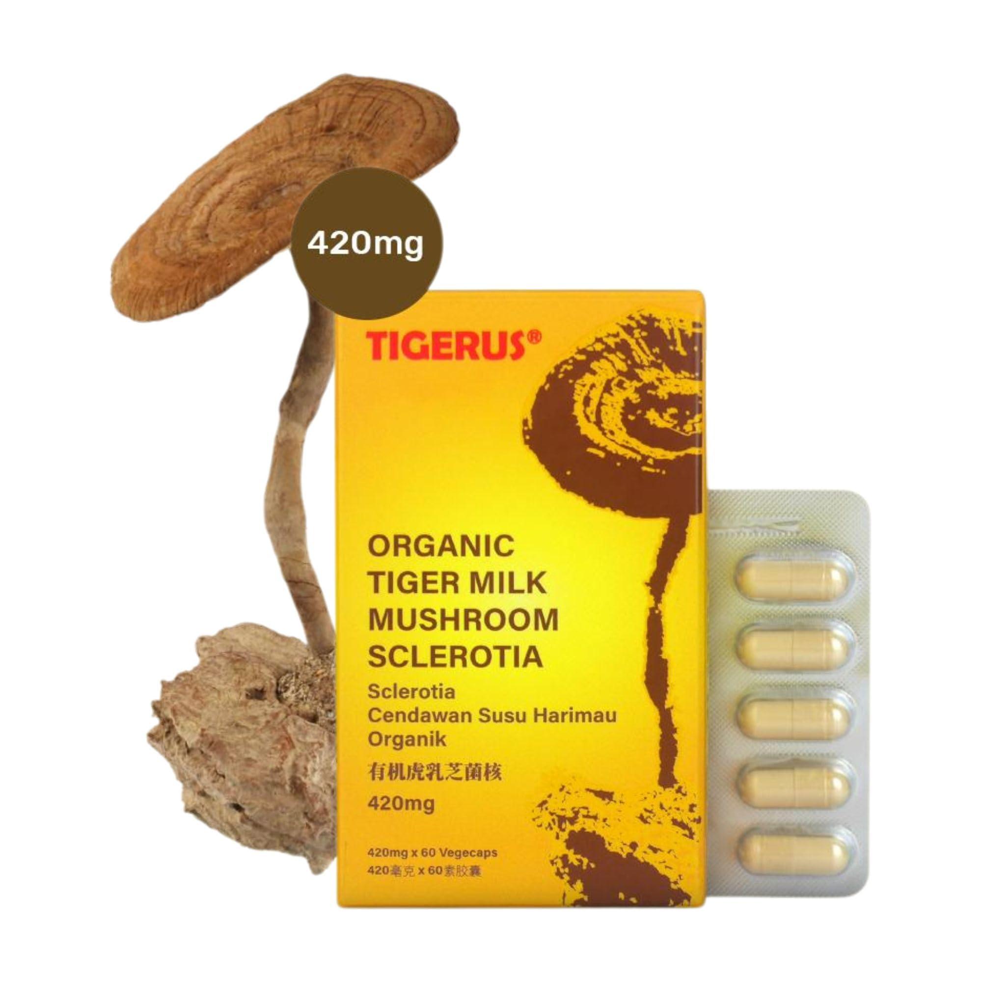 TIGERUS TIGERUS Tiger Milk Mushroom (LiGNO TM02 Lignosus rhinocerus Sclerotia) Malaysia, Lung Respiratory Immune Support 420mg x 60 vegecap