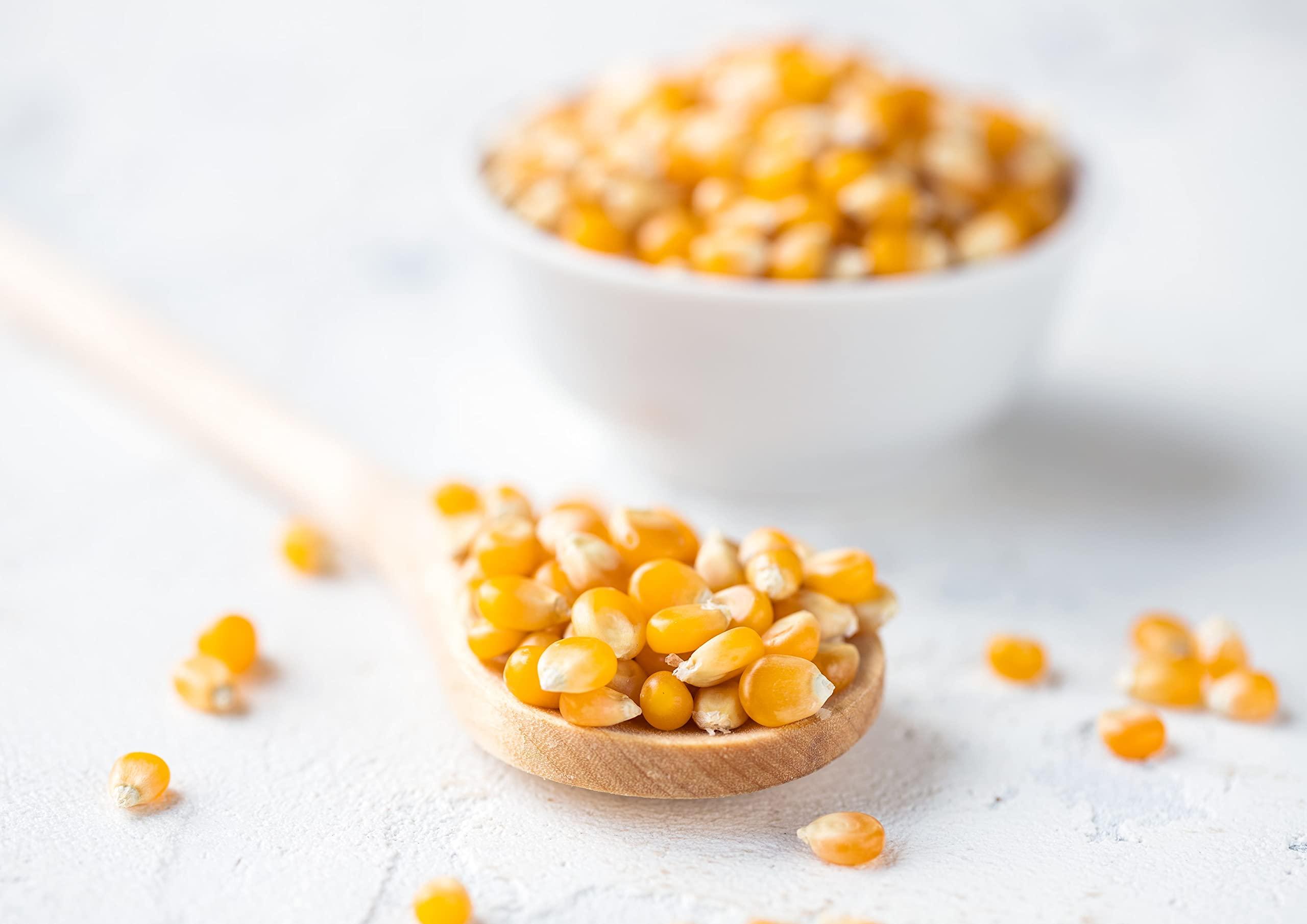 Food to Live Food to Live Organic Yellow Popcorn Non-GMO Corn Kernels, 100% Whole Grain, No Additives, No Preservatives, Vegan, Bulk. Theater-Quality Popcorn. Easy to Make. High Fiber, and Low-Calorie Snack