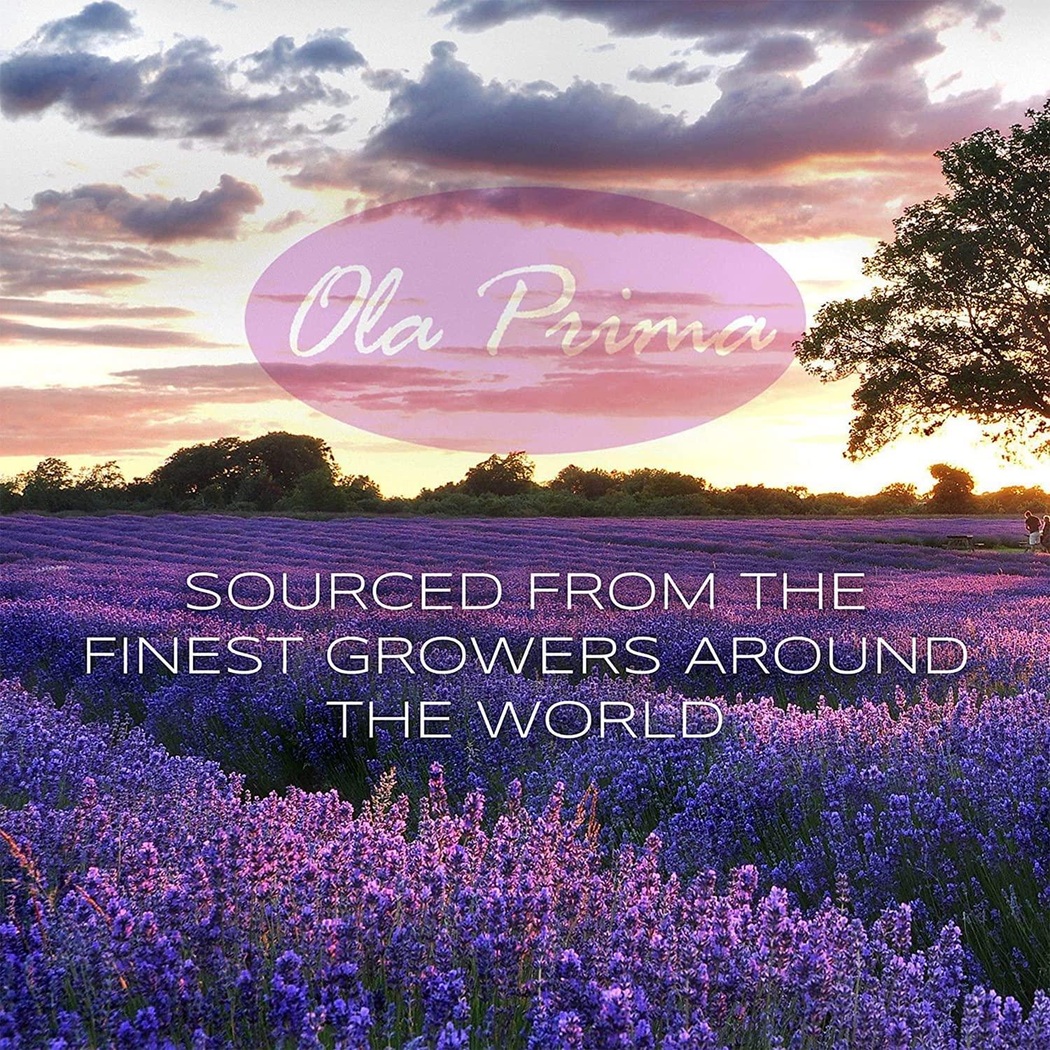 Bauerfeind Bauerfeind ViscoHeel Heel Cushions, Gray, 3