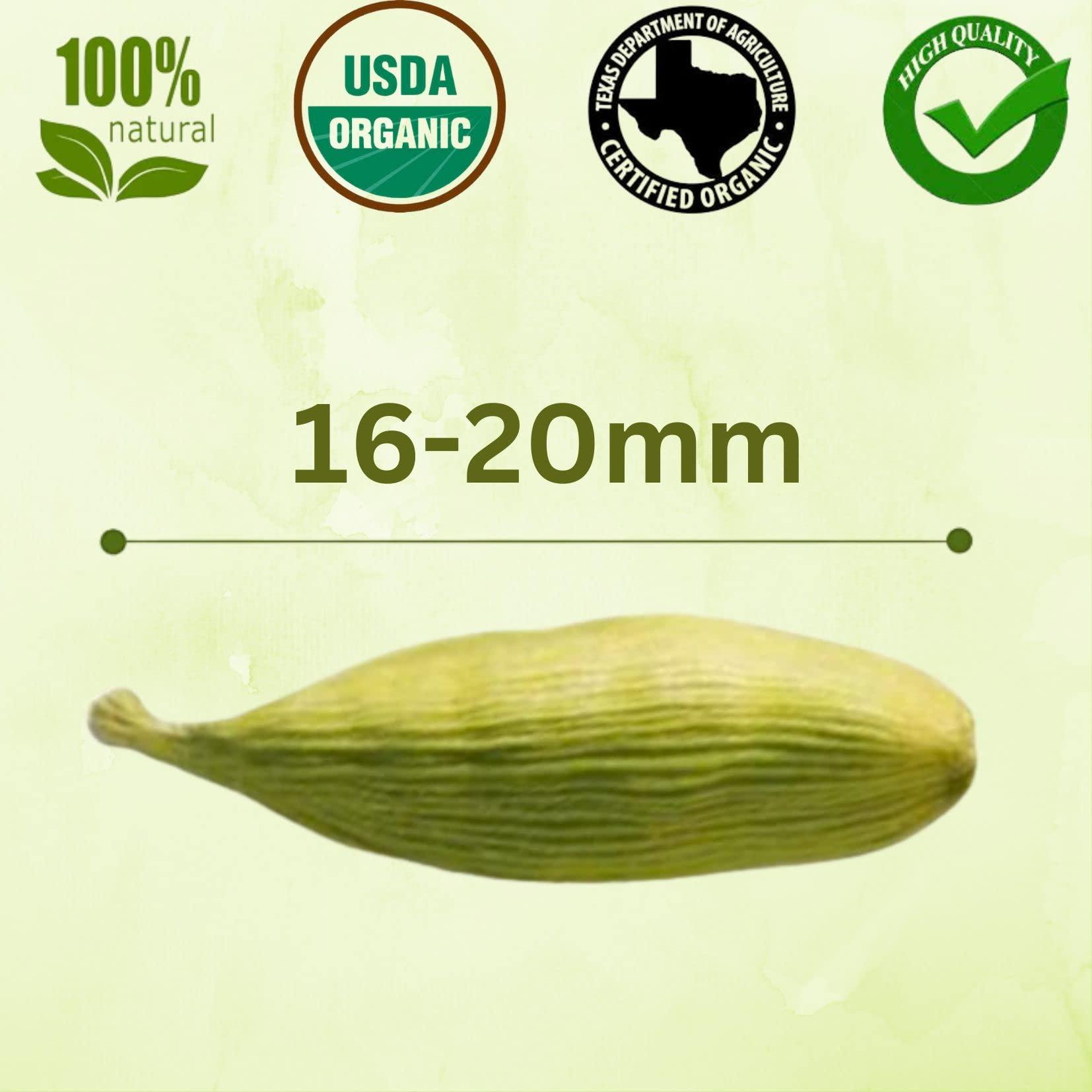 SPICY ORGANIC SPICY ORGANIC Jumbo Size Green Cardamom Pods - 4 oz - 100% Pure USDA Organic - Non-GMO, Gluten-Free - Comes in a Resealable Pack - Freshly Harvested - 90 Servings Per Container