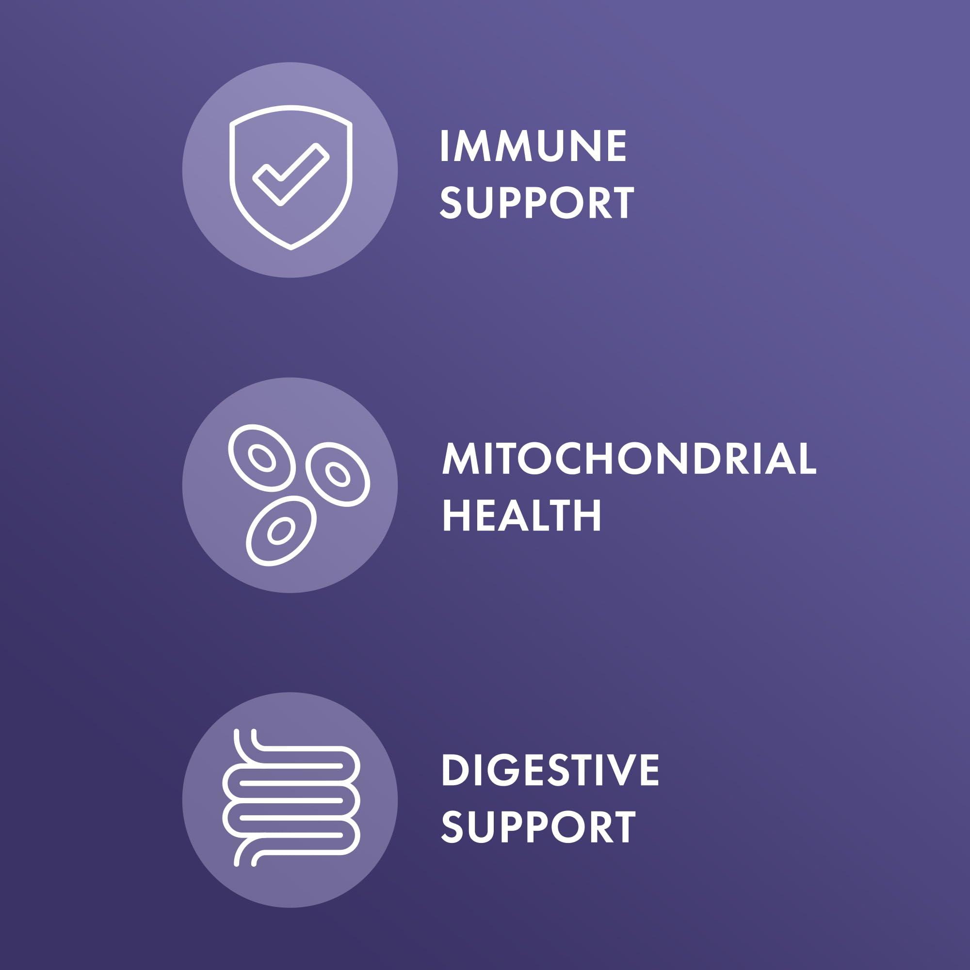 Dr. Mercola Dr. Mercola, Full Spectrum Enzymes Dietary Supplement, 90 Servings, 3-Pack (90 Capsules), Digestive Support, Non GMO, Soy Free, Gluten Free