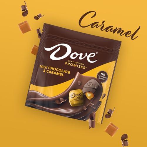 Dove Dove Promises Milk Chocolate Caramel, 6.74 oz Bag
