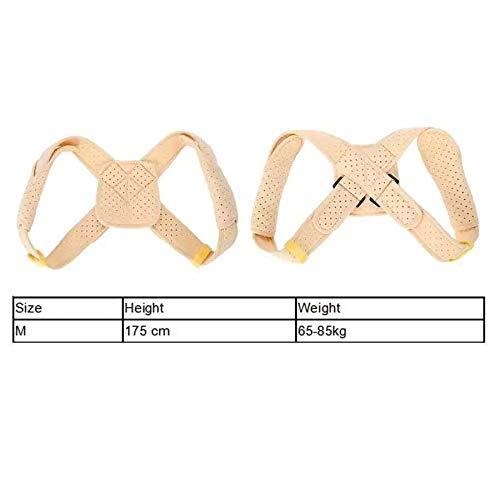 ENPAP ENPAP Body Wellness Posture Corrector Adjustable Back Shoulder Belt for Adult