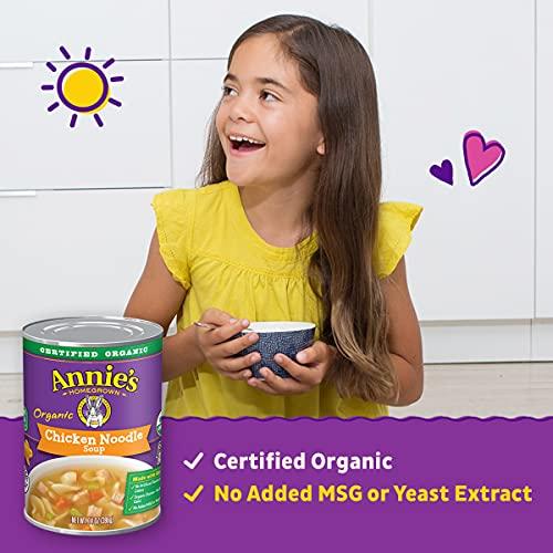 Annies Annies Organic Chicken Noodle Canned Soup, Ready To Serve, 14 oz.
