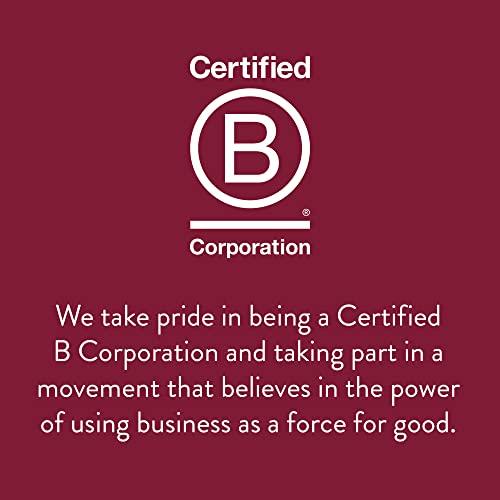 Stash Stash Tea Decaf Vanilla Chai Black Tea, Box of 100 Tea Bags