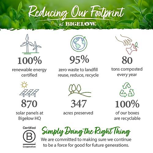 Bigelow Bigelow Tea Perfectly Mint Black Tea, Caffeinated Spearmint Tea, 20 Count Box (Pack of 6), 120 Total Tea Bags