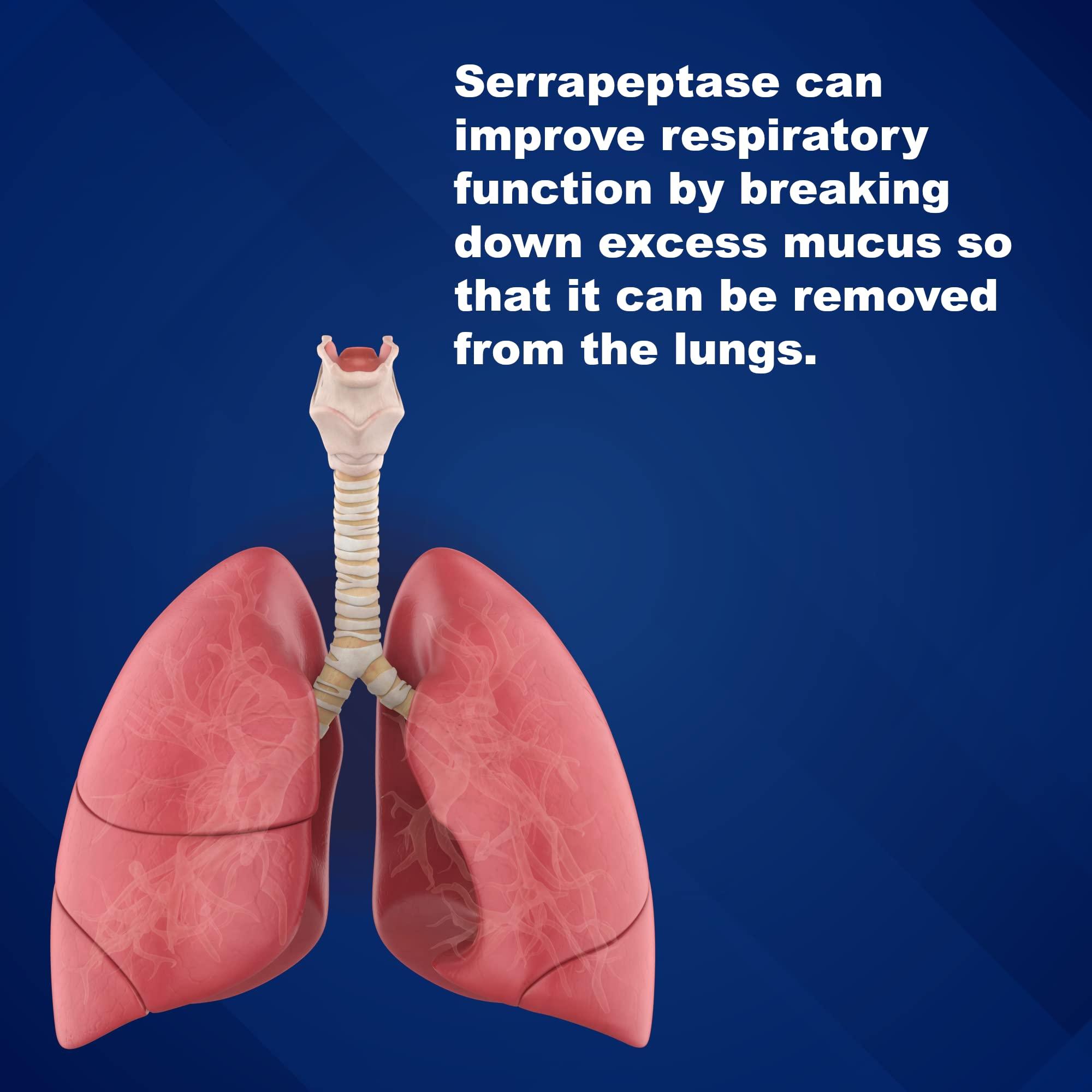 LifeLink LifeLink Cardiopeptase (Serrapeptase) | 5 mg x 100 Enteric Coated Tablets | Proteolytic Enzyme | Joint and Cardiovascular Health | Gluten Free & Non-GMO | Made in The USA