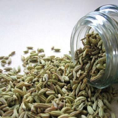 Greenlike Greenlike Fennel Seeds Xiao Hui Xiang Foeniculum 16 oz