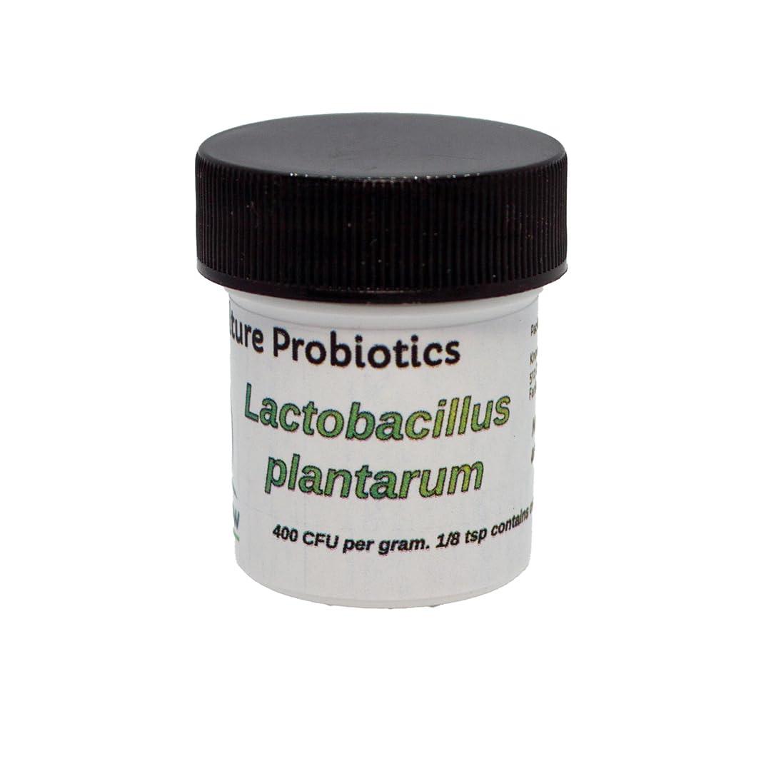 Know-How Foods Pure Culture Probiotics (Lactobacillus plantarum) 10 g