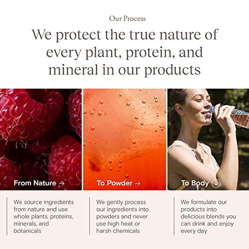 Yoli Yoli Passion Energy Drink Powder Mix - Natural Energy Drink Mix for Endurance and Stamina, 30 Packets - Raspberry Lemon Flavor