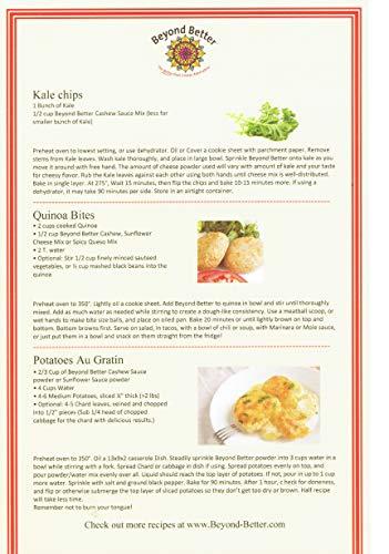 Beyond Better Beyond Better Cashew Spicy Queso Cheese Alternative (4 Pack) Gluten Free Soy Free Grain Free