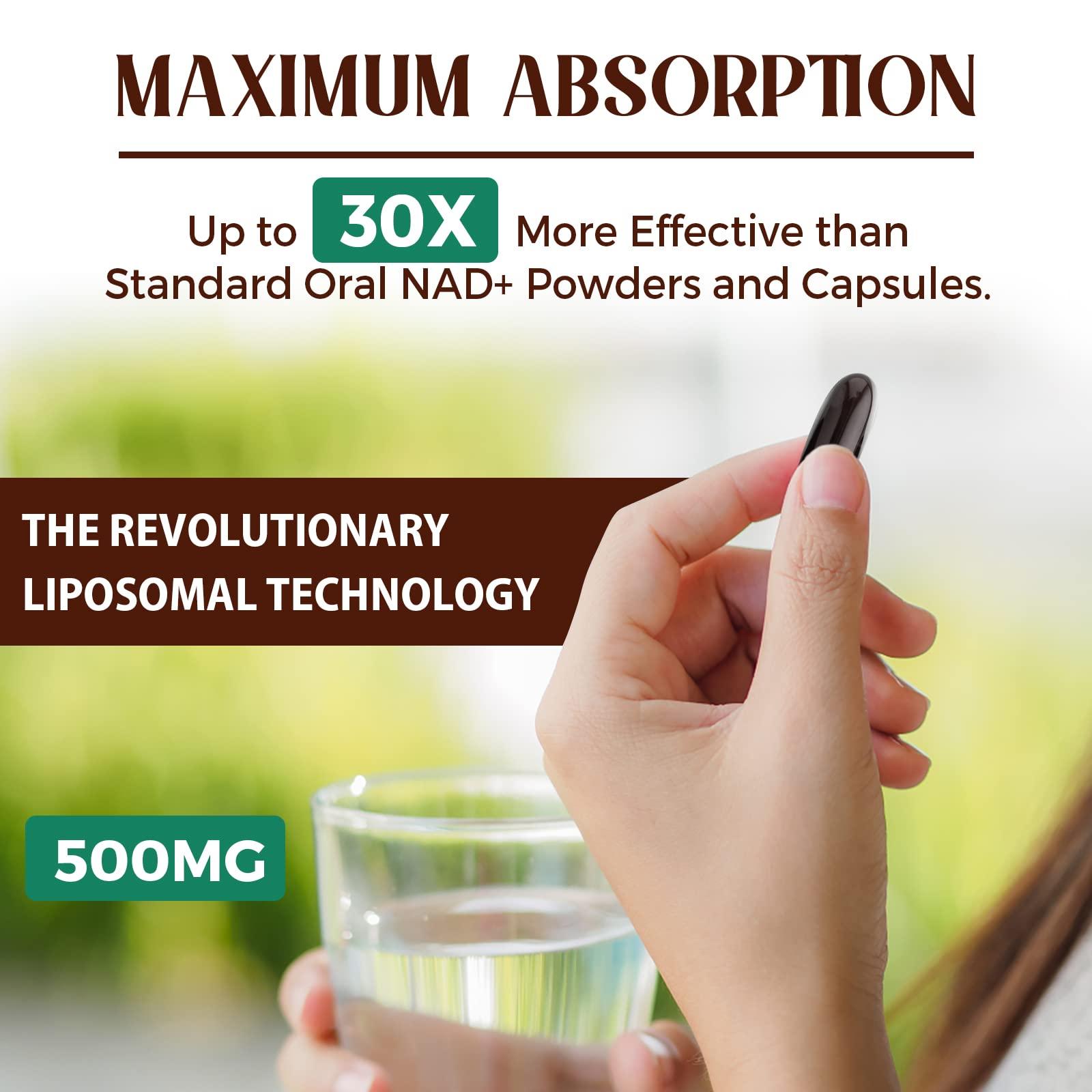 Caenciennes Liposomal NAD+ 500 MG Supplement, True NAD Plus Supplement, Superior Absorption, Boost NAD+ More Efficient Than Nicotinamide Riboside for Cellular Energy, Healthy Aging, 120 Serving