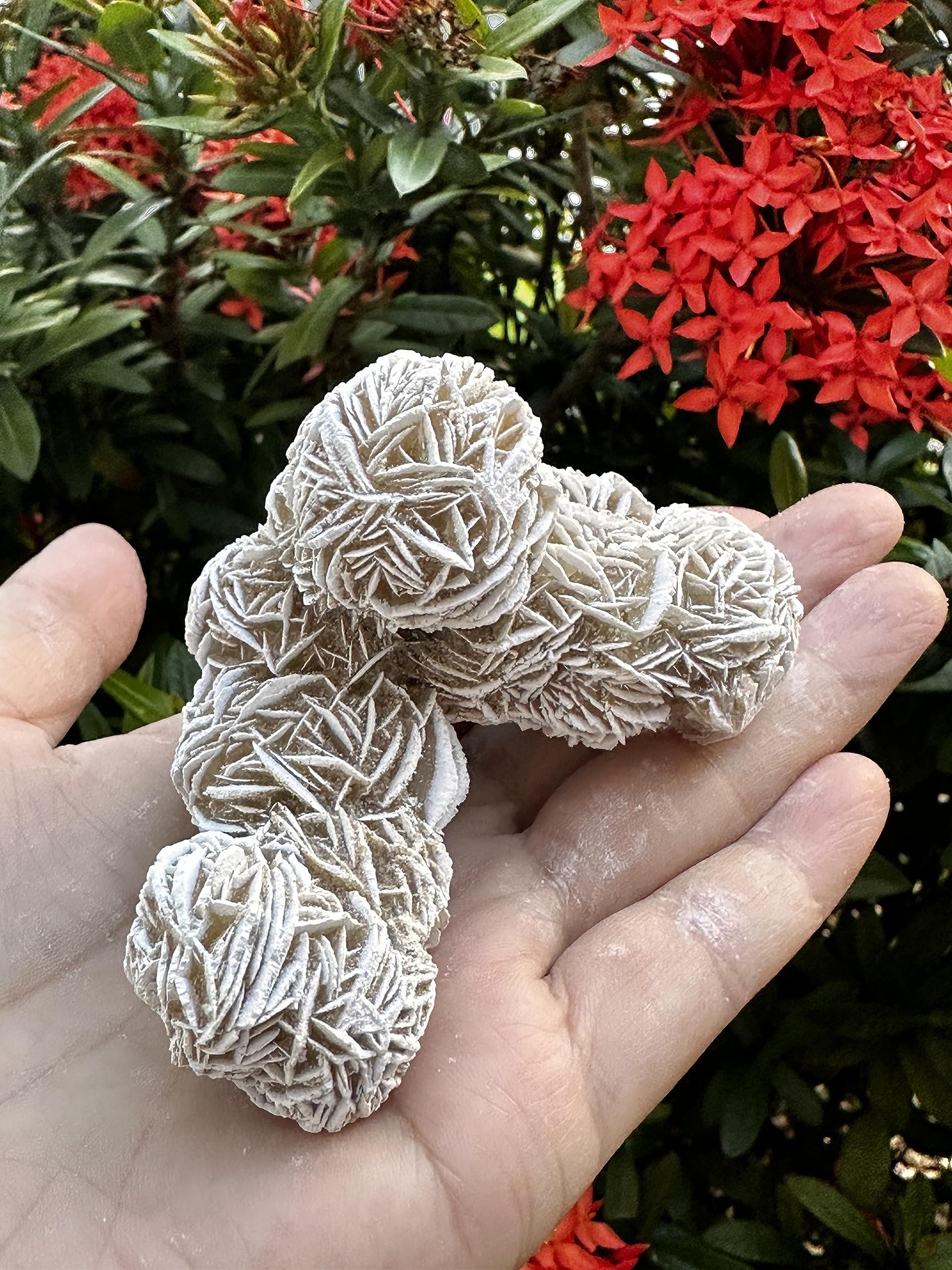 GAF TREASURES Large Desert Rose Cluster, Natural Desert Rose Selenite Stones, Desert Gypsum Rose, Raw Selenite Rose Crystal, Rose Rock, Sand Rose (0.3-0.5 lb)