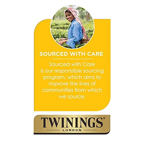 Twinings Twinings of London Cold Brew Green Tea with Mint Tea Bags, 20 Count