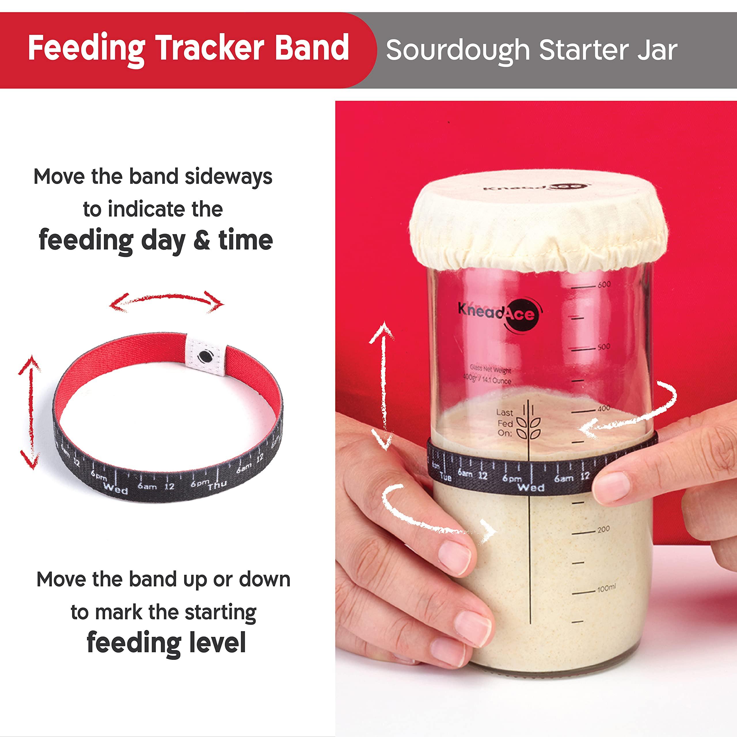 KNEADACE KneadAce 24 Oz Sourdough Starter Jar Kit and Starter Culture