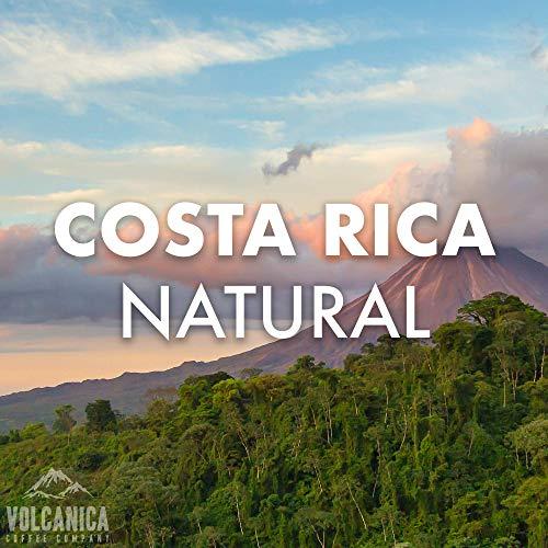 Volcanica Coffee Costa Rica Coffee, Natural Process, Whole Bean, Fresh Roasted, 5 lbs